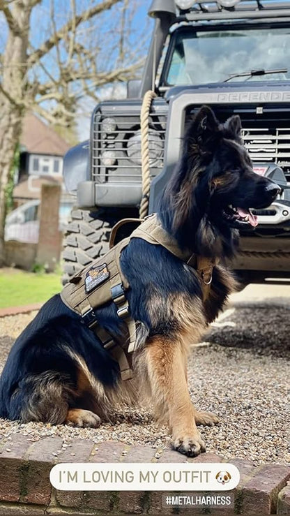 OneTigris Tactical Dog Harness with 5X Metal Buckle,Dog MOLLE Vest with Handle,No Pulling Front Clip,Hook and Loop Panel for Dog Custom Patch