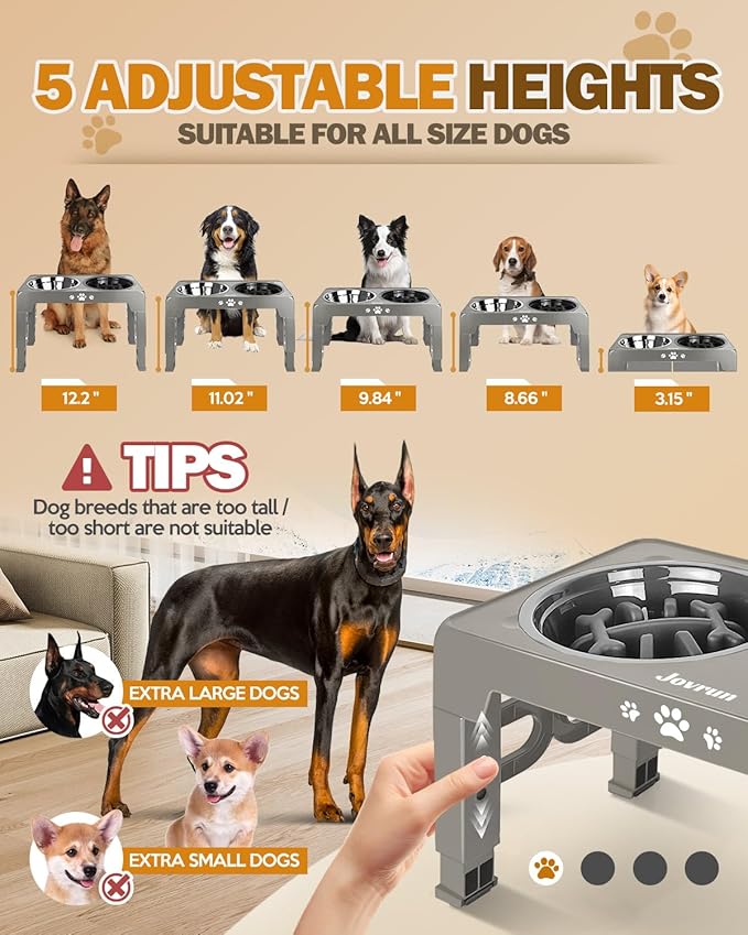 Elevated Dog Bowls, Dog Feeder with 1*Stainless Steel Dishes & 1*Slow Feeder Bowl, 5 Heights Adjustable Raised Stand for Medium Large, Food Dishes with Non-Slip Feet