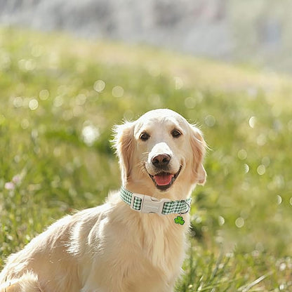 Lionet Paws St. Patrick Dog Collar, Comfortable Adjustable Green Collar with Green and White Grid Pattern for X-Large Male Female Dogs Collars, Neck 16-26 inches