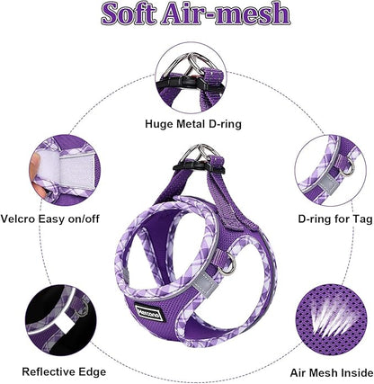 Mercano Soft Mesh Dog Harness and Leash Set, No-Chock Step-in Reflective Breathable Lightweight Easy Walk Vest Harnesses with Safety Buckle for Small Dogs, Cats (XXS, Purple)