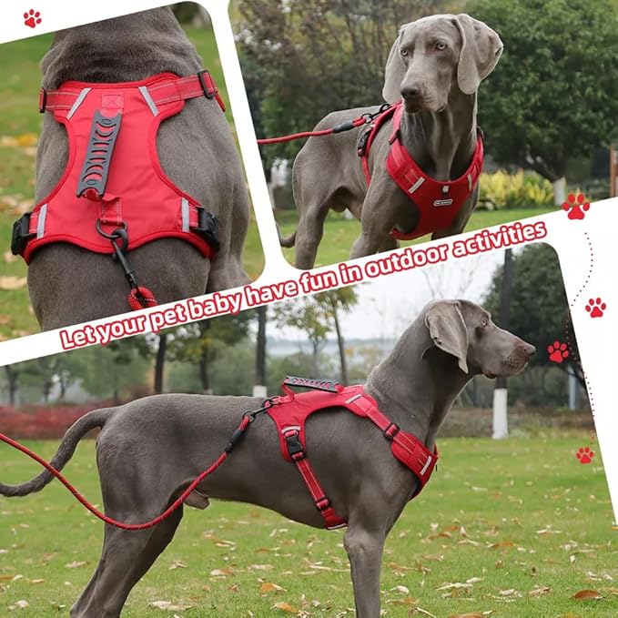 Dog Harness No Pull Adjustable Reflective,for Medium and Large Small Dog with Leash 59.06in (Red, L)