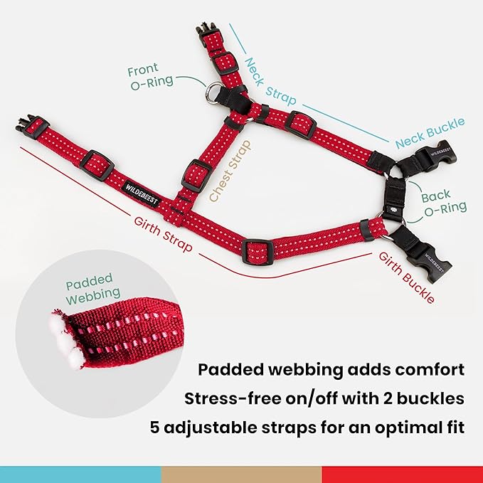 Wildebeest Valencia No Pull Dog Harness | Front and Back Leash Clips | Soft Padded Straps | Lightweight, Adjustable, Easy On/Off for Training and Dog Walking | Large Red