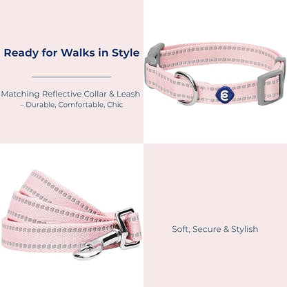 Blueberry Pet Essentials Matching Dog Collar & Leash Set | Pastel Reflective Adjustable Collar with 4 ft Lead for Large Dogs, Baby Pink