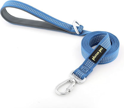 Plutus Pet Heavy Duty Dog Leash with Lockable Aluminum Carabiner, 4/6 Feet Long, Double-Sided Reflective Nylon, Padded Handle, for Puppy, Small, Medium and Large Dogs (Blue, 1" x 6')