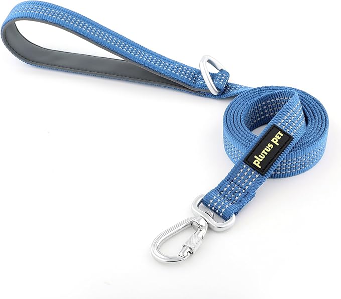 Plutus Pet Heavy Duty Dog Leash with Lockable Aluminum Carabiner, 4/6 Feet Long, Double-Sided Reflective Nylon, Padded Handle, for Puppy, Small, Medium and Large Dogs (Blue, 4/5" x 4')