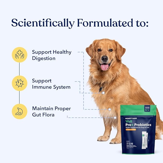 Honest Paws Probiotics for Dogs - Dog Digestion Gut Health Probiotic Powder with Prebiotic Made in The USA, Digestive and Immune Support - Digestive Enzymes with Pumpkin Flavor (30 Sticks)