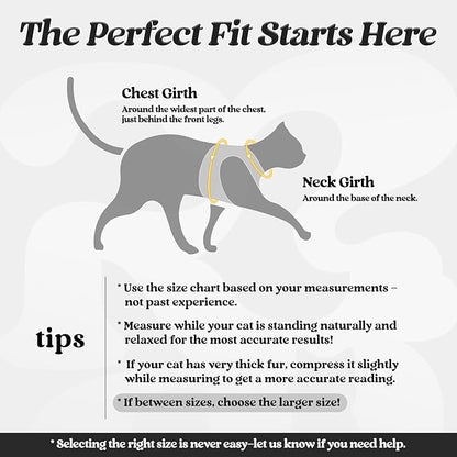 rabbitgoo Cat Harness and Leash Set for Walking Escape Proof, Adjustable Soft Kittens Vest with Reflective Strip for Cats, Comfortable Outdoor Vest, Black, L