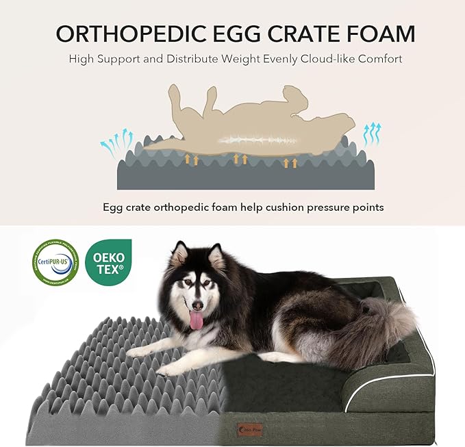 Casa Paw Orthopedic Dog Beds for Large Sized Dogs, Waterproof Memory Foam Large Pet Bed with Sides 35x22Inch, Non-Slip and Egg-Crate Foam Big Dog Couch Bed with Removable Washable Cover, Dark Green