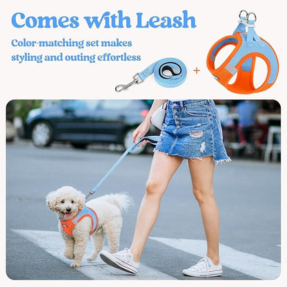 rabbitgoo Dog Harness Medium Sized and Leash Set, Step in Soft Light Puppy Vest, Breathable Mesh Pet Harness, Reflective for Safe Easy Walking, Blue & Orange XXL
