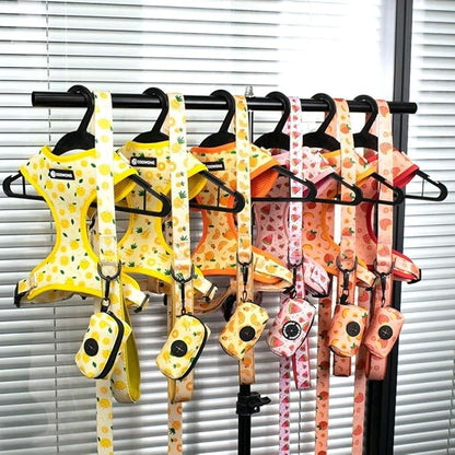 Dog Harness and Leash Set, Adjustable Dog Harness, Dog Leash, No Pull No Choke Puppy Harnesses for Walking Training for Small Medium Pet