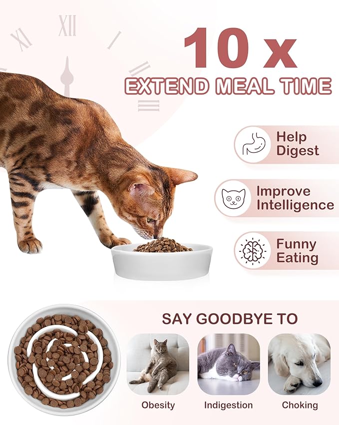 TRUVIC Ceramic Slow Feeder Dog Bowls Small Breed, 0.6 Cup Slow Feeder Cat Bowls for Fast Eaters, Ceramic Dog Food Dish no Black Chin, Puzzle Bowl for Small Dogs and Cats, White