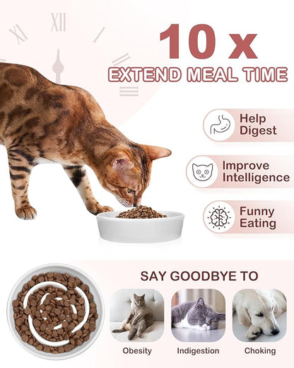 TRUVIC Ceramic Slow Feeder Dog Bowls Small Breed, 0.6 Cup Slow Feeder Cat Bowls for Fast Eaters, Ceramic Dog Food Dish no Black Chin, Puzzle Bowl for Small Dogs and Cats, White