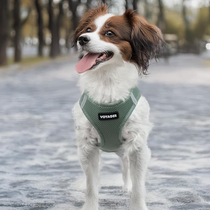 Best Pet Supplies Voyager Step-in Air Harness - All Weather Mesh, Reflective, No Pull Harness for Dogs, Cats - Secure with Hook & Loop Fastener, Buckle, Double D-Rings - Moss Green, L