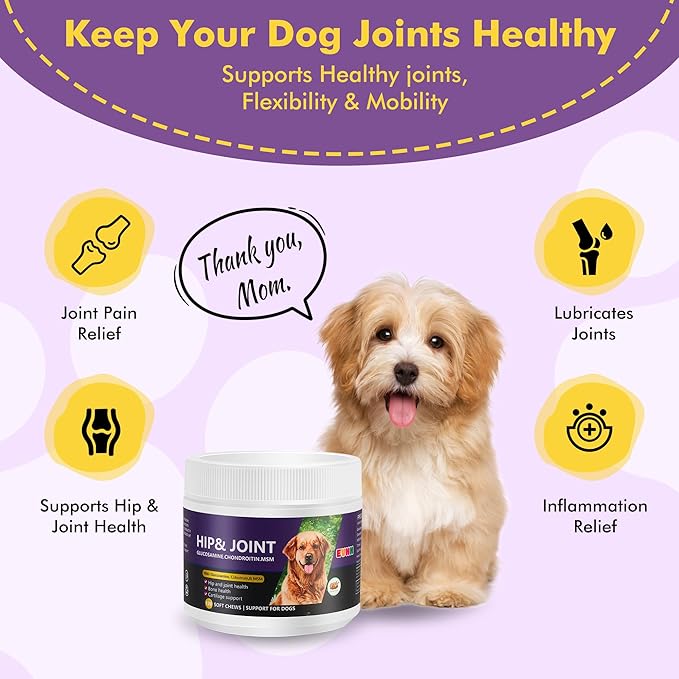 Glucosamine Chondroitin MSM Chewable Tablets for Dogs - Hip & Joint Support Supplement with Vitamins, Chicken Flavor, Joint Pain Relief for Puppies & Senior Dogs, 120 Count