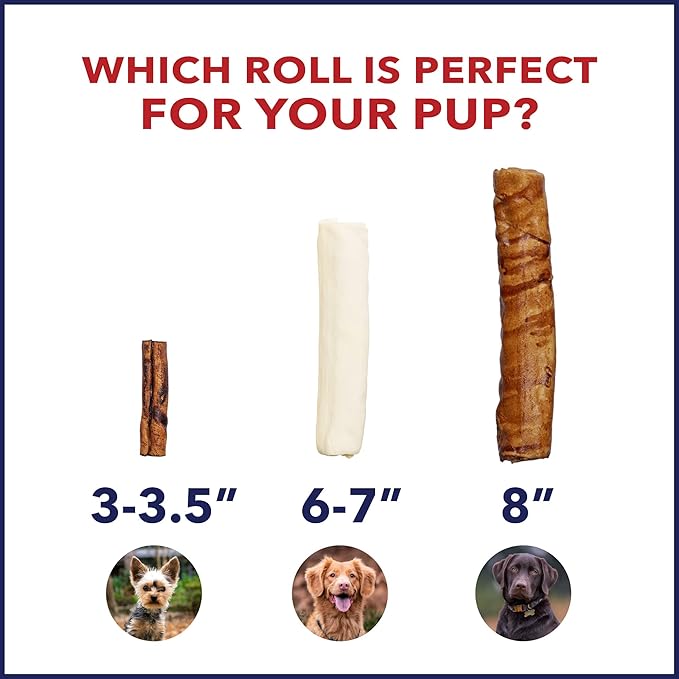 Pet Factory 100% Made in USA Beefhide 8" Rolls Dog Chew Treats - Natural Flavor, 10 Count/1 Pack