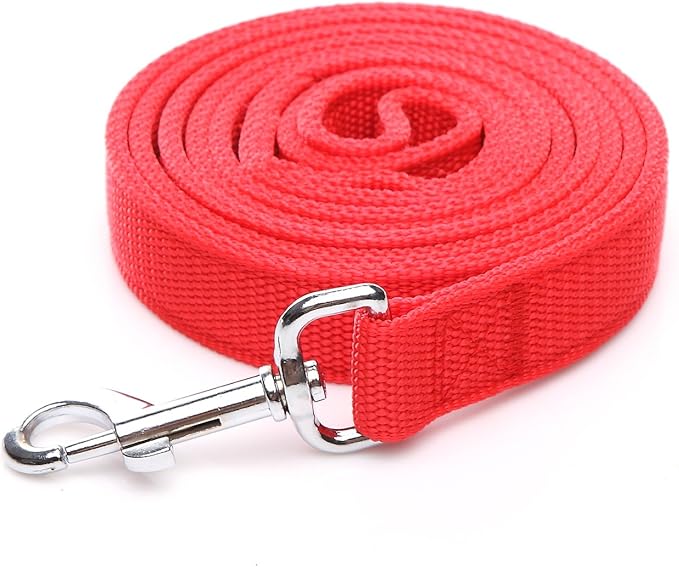 Strong Nylon Dog Leash with 2-Layer, 4 FT/ 6 Feet Long, 1 Inch Wide for Medium Large Dogs (1'' x 5 FT, Red)