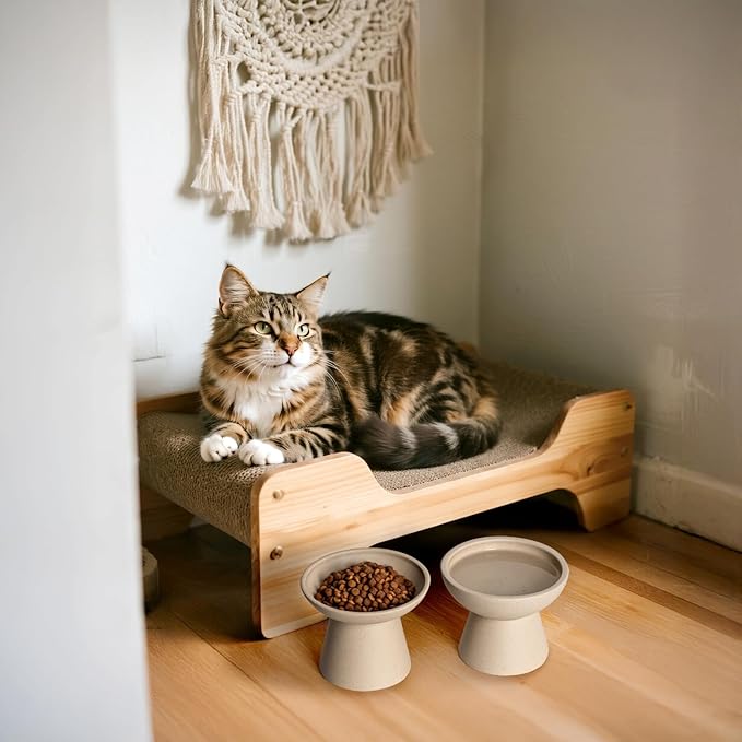 CEEFU 2 Elevated Cat Bowls Extra Wide for Food & Water – Whisker Fatigue, Ceramic Wide Shallow Food Dish, Lead & Cadmium Free, Raised Height for Cats, Pottery Clay (Not Glazed)