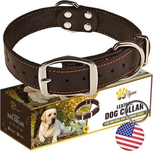 ADITYNA Heavy Duty Black Leather Dog Collar - Soft and Strong Medium Dog Collar for Walking, Training, Hiking, and Running (Medium: Fit 13" - 20" Neck, Black)