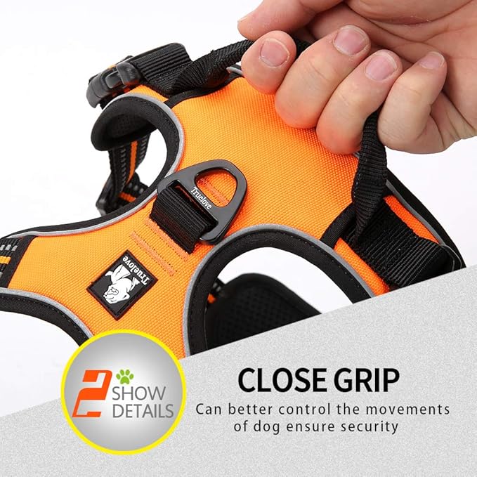 JUXZH Truelove No Pull Dog Harness with Easy Control Handle and 2 Leash Attachments,Reflective Adjustable Pet Vest