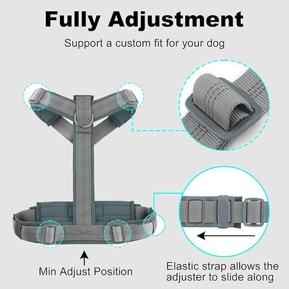 Plutus Pet No Pull Dog Harness, Adjustable Nylon Harness with Soft Padding, Reflective and Heavy Duty Dog Harness for Small, Medium, Large Dogs(Gray, L)