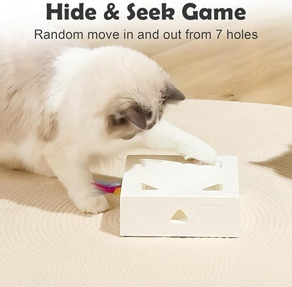 Interactive Cat Toys -Migibox for Indoor Bored Cats, Automatic Pop Out Feathers from 7 Holes Randomly, Motion Activated, USB Rechargeable (Purple Skin)