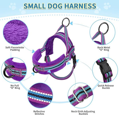 SlowTon No Pull Small Dog Harness and Leash Set, Puppy Soft Vest Harness Neck & Chest Adjustable, Reflective Lightweight Harness & Anti-Twist Pet Lead Combo for Small Medium Dogs (PU-Front Clip, S)