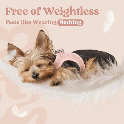 rabbitgoo Small Dog Harness, Step-in Soft Mesh Puppy Vest with Safety Buckle, Breathable Reflective Pet Harness for Large Dogs, Pink XXL