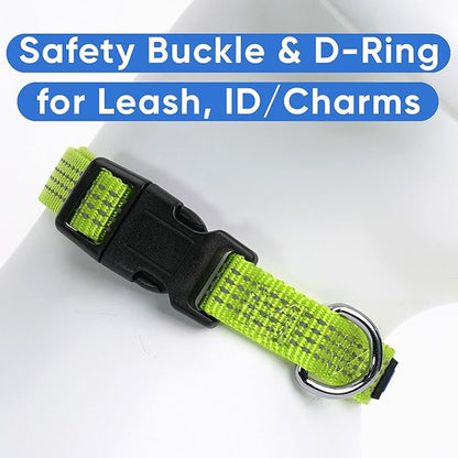 Pawtitas Reflective Dog Collar Adjustable Dog Collars for Small Dogs Puppy Collar Extra Small Dog Collar Green Dog Collar