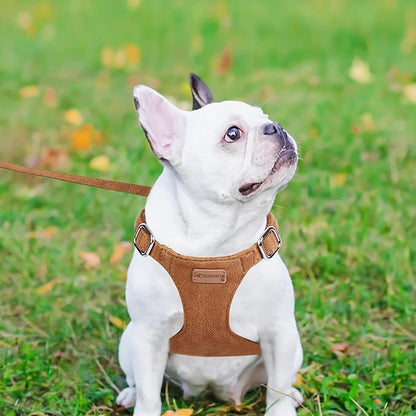 Dog Harness and Leash Set, XXS No Pull Adjustable Puppy Harness with Multifunction Pink Dog Leash and Dog Collar, Soft No Choke Escape Proof Pet Harness Vest for Small Dogs and Cats (Brown, XXS)