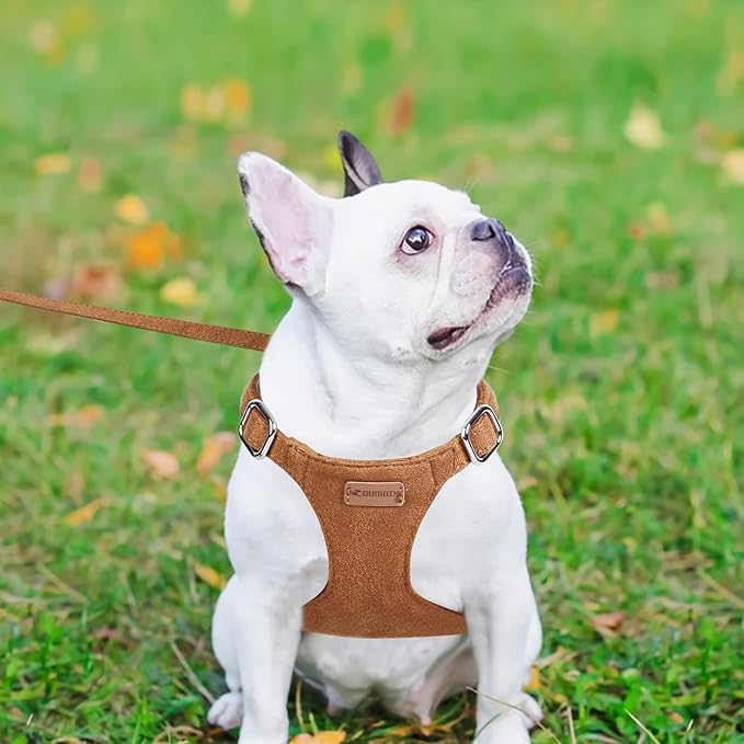 Dog Harness and Leash Set, XXS No Pull Adjustable Puppy Harness with Multifunction Pink Dog Leash and Dog Collar, Soft No Choke Escape Proof Pet Harness Vest for Small Dogs and Cats (Brown, XS)