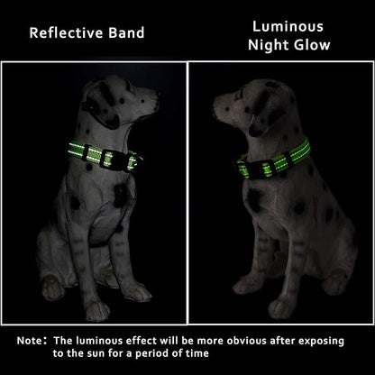 Mile High Life Reflective Dog Collar, Basic Dog Collars Adjustable Quick Release, Soft Nylon Pet Collar with Metal D-Ring for Small Medium Large Dogs (Lime, M Neck13-17")