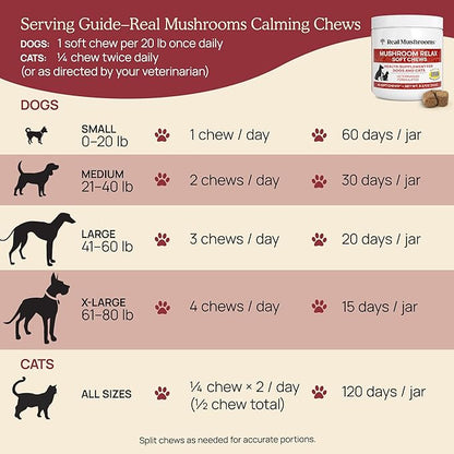 Calming Chews for Dogs & Cats – Soft Chews with Reishi & Lion’s Mane for Daily Composure – for All Breeds & Sizes – Calming Treats for Dogs: 1 Chew/20 lb Daily; Cats: ¼ Chew Twice Daily – 60 Count