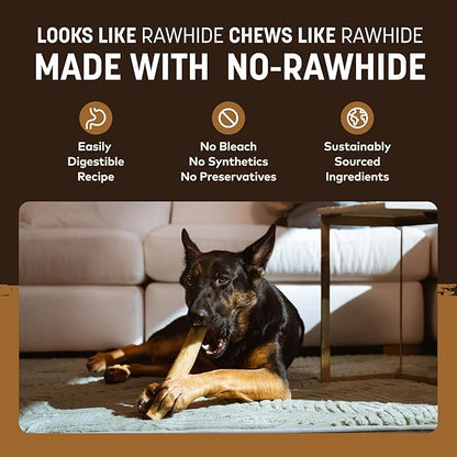 Earth Animal No Hide Chews - Long Lasting Rawhide Free Large Dog Chews Rolls, Venison - 2 Count