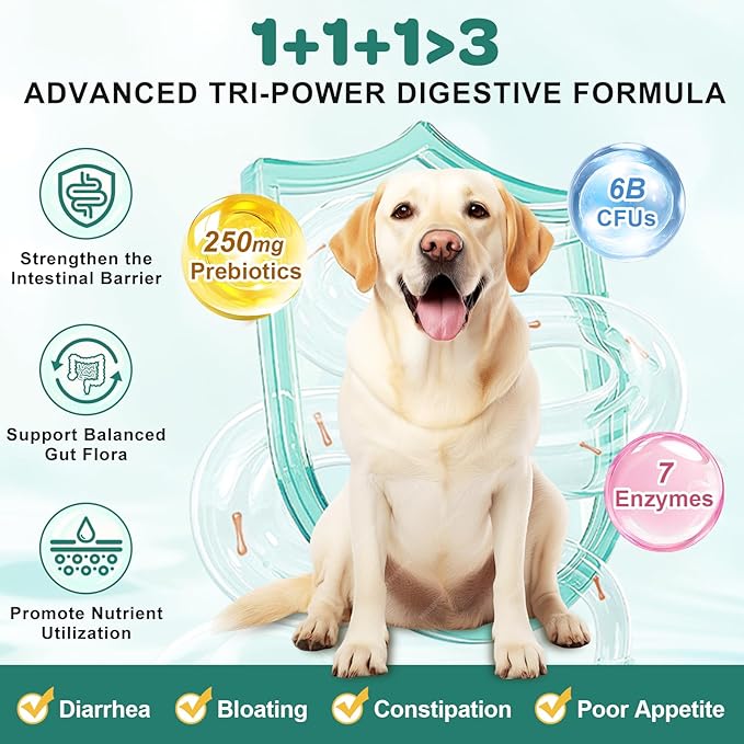 Probiotics for Dogs, Dog Probiotics with Digestive Enzymes, Prebiotics, Omega-3 & 6 and Vitamin for Dogs Digestive Health, 6 Billion CFUs for Gut Health and Immune Support, 180 Freeze-Dried Chews