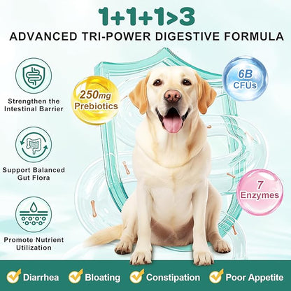 Probiotics for Dogs, Dog Probiotics with Digestive Enzymes, Prebiotics, Omega-3 & 6 and Vitamin for Dogs Digestive Health, 6 Billion CFUs for Gut Health and Immune Support, 180 Freeze-Dried Chews