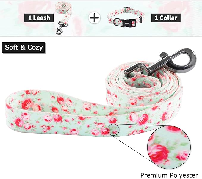Ihoming Dog Collar and Leash Set for Daily Outdoor Walking Running Training, Floral GreenLake Design for Small Boys Girls Dogs Cats Pets, S-Up to 20LBS