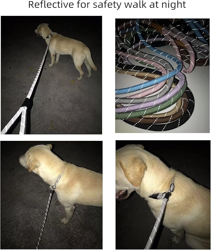 Reflective Slip Leads for Dogs 6FT, Slip Lead Dog Leash, Slip On Training Leash