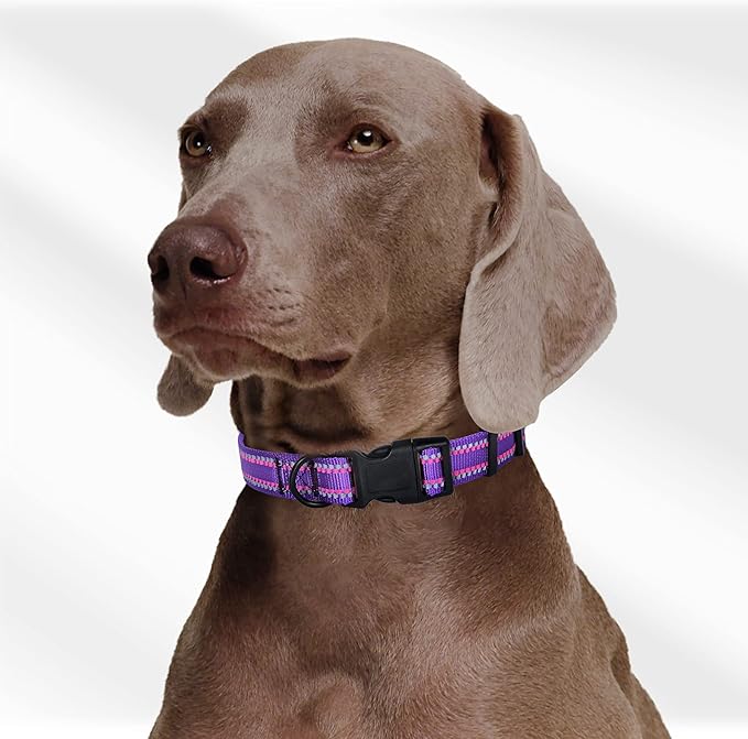 Mile High Life Reflective Dog Collar, Basic Dog Collars Adjustable Quick Release, Soft Nylon Pet Collar with Metal D-Ring for Small Medium Large Dogs (Purple, L Neck15-19")
