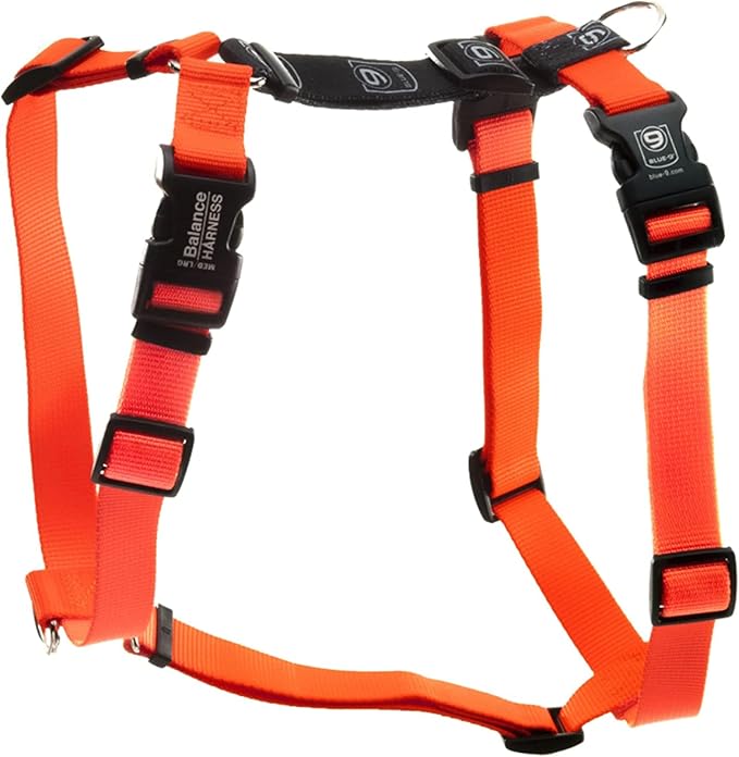 Blue-9 Buckle-Neck Balance Harness, Fully Customizable Fit No-Pull Harness, Ideal for Dog Training and Obedience, Made in The USA, Orange, Medium