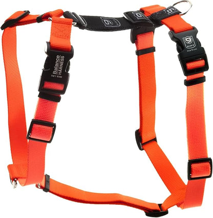 Blue-9 Buckle-Neck Balance Harness, Fully Customizable Fit No-Pull Harness, Ideal for Dog Training and Obedience, Made in The USA, Orange, Medium