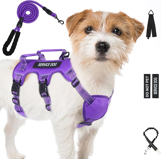 Escape Proof Dog Harness for Large Medium Sized Dogs Six Point Adjustable, Service Dog Vest Harness and Leash Set, No Pull Dogs Harnesses with Handle, Medium Dog Harnesses for Walking(Purple, S)