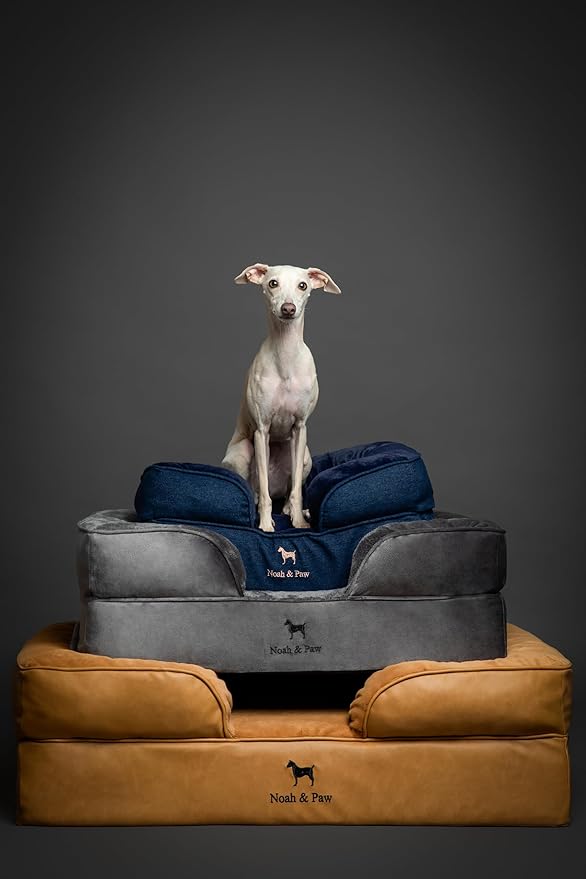 NOAH & PAW Dog Bed, 28x23x7.5 Inch, Orthopedic Dog Beds for Medium Size Pets, Eggshell Memory Foam Infused with Cooling Gel, Waterproof, Machine Washable, Includes Inner Cover (Velvet Collection)