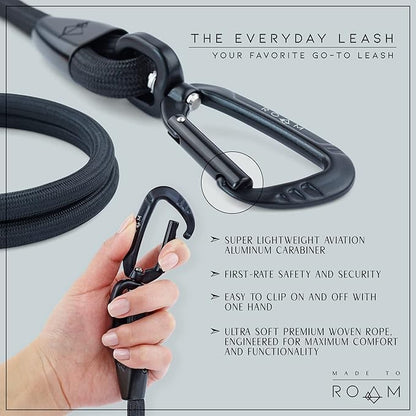 MADE TO ROAM Premium Everyday Leash - Ultra Soft Dog Leash with Aviation Aluminum Carabiner for Small, Medium, Large Dogs - Washington Rain, 4ft (Rubber Coated Metal Clamps)