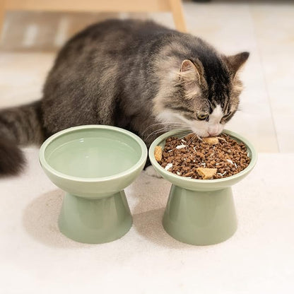 CEEFU 2 Elevated Ceramic Cat Bowls Extra Wide for Food & Water – Whisker Fatigue Shallow Food Dish, Lead & Cadmium-Free, Raised Height for Cats, Sage Green