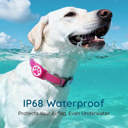 Reflective Dog Collar with Waterproof air tagholder & Anti-Lost QR Code | Ultra-Durable | Soft Padded | Safety Locking Buckle | Fit Large Dogs (Rose Red L(15.7"-23.6"))
