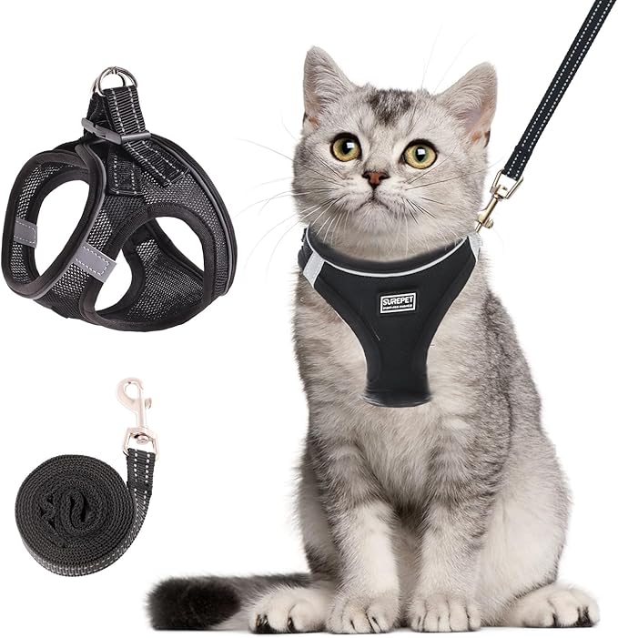 Betmaypet Cat Harness and Leash Set, Soft and Breathable Vest with Reflective Strip, Escape Proof Kitten Harness, Easy to Wear for Cats Walking and Traveling (Black, M)