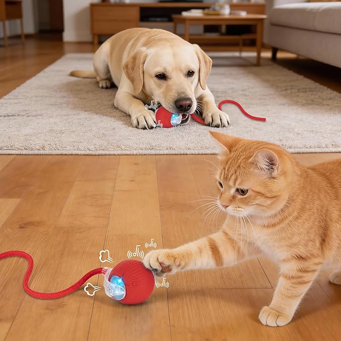 JINDILONG Cat Toy, Electric Interactive Toys for Indoor Cats, Red