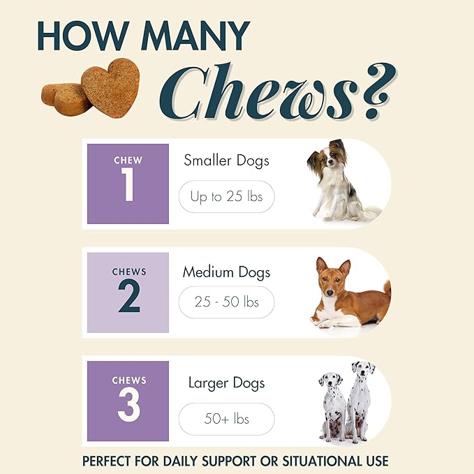 Wholistic Pet Calm & Relaxed - Calming Chews for Dogs - L-Theanine Manages Stress & Separation Anxiety - Melatonin for Dogs Anxiety Relief & Sleep Aid - Daily Dog Calming Treats - Bacon - 90 Chews