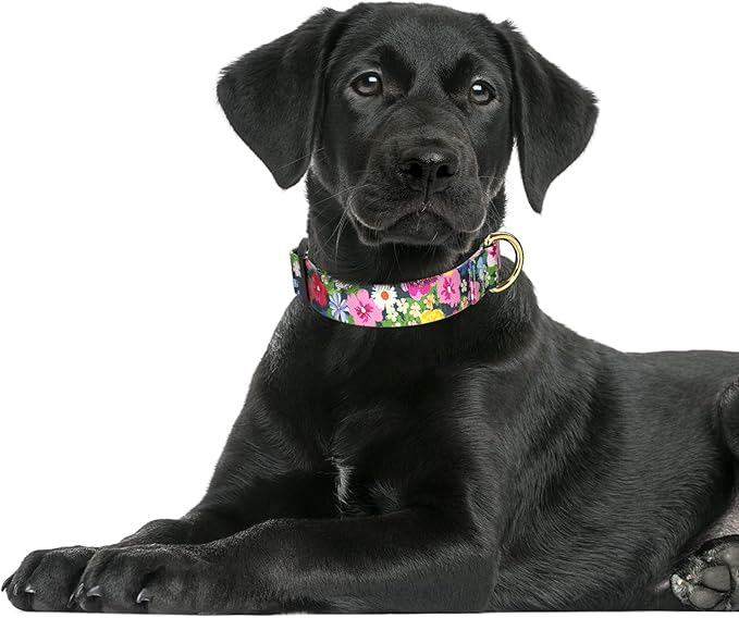 Rnivvi Dog Collar for Large Dogs, Cute Floral Heavy Duty Adjustable Puppy Collar with Quick Release Buckle for Boy Girl & Female, Pet Accessories for Walking Running, L Length 1" Width, Elegant