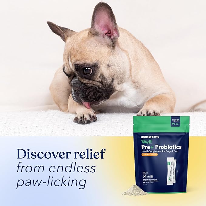 Honest Paws Probiotics for Dogs - Dog Digestion Gut Health Probiotic Powder with Prebiotic Made in The USA, Digestive and Immune Support - Digestive Enzymes with Pumpkin Flavor (30 Sticks)